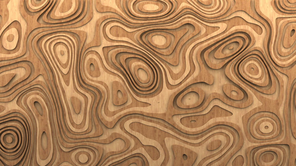 Wood Abstract